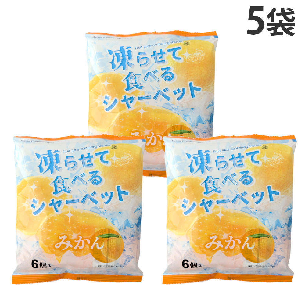 賞味期限:26.12.20 JCC 雪国アグリ 凍らせて食べるシャーベット みかん 16g×6個入 5袋