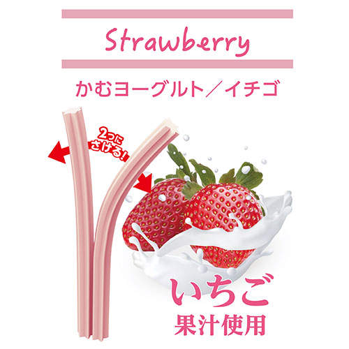 FORCANS フォーキャンス かむヨーグルト いちご 14本入 90g