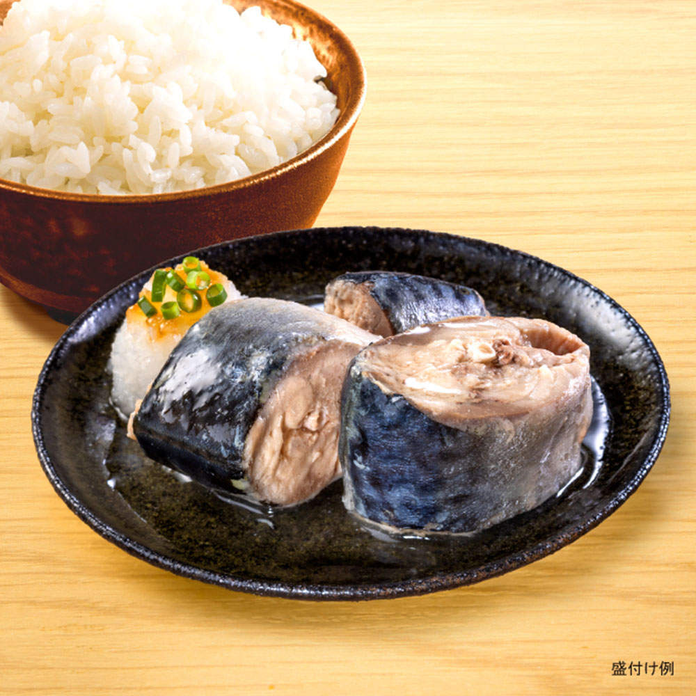 宝幸 ごはんがうまい! 日本のさば 水煮 150g