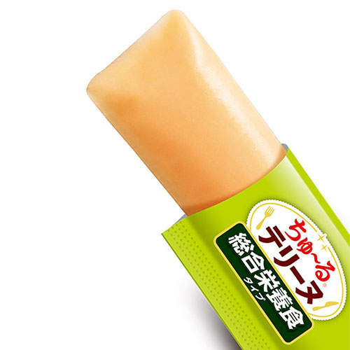 『ポイント15倍』いなば ちゅ~る テリーヌ 総合栄養食 ささみ&緑黄色野菜 4本入 48個 DS-485