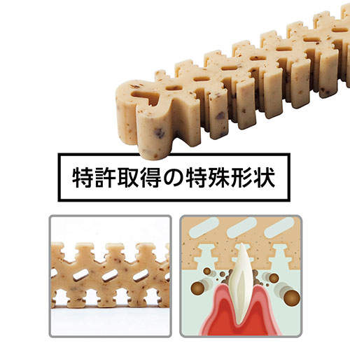 FORCANS フォーキャンス デンティ スリーフェアリー お徳用 150g S 6個セット