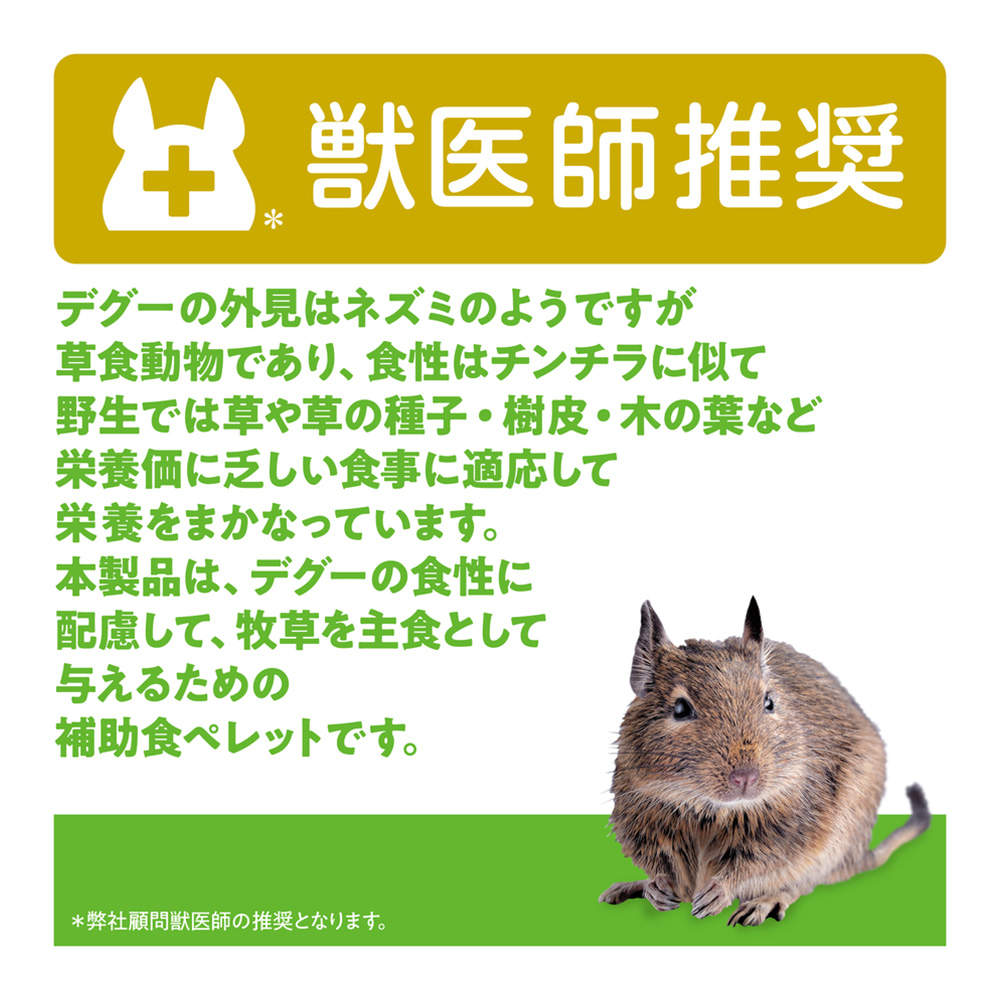 ジェックス デグー プレミアムフード シンバイオティクスブレンド 1.1kg