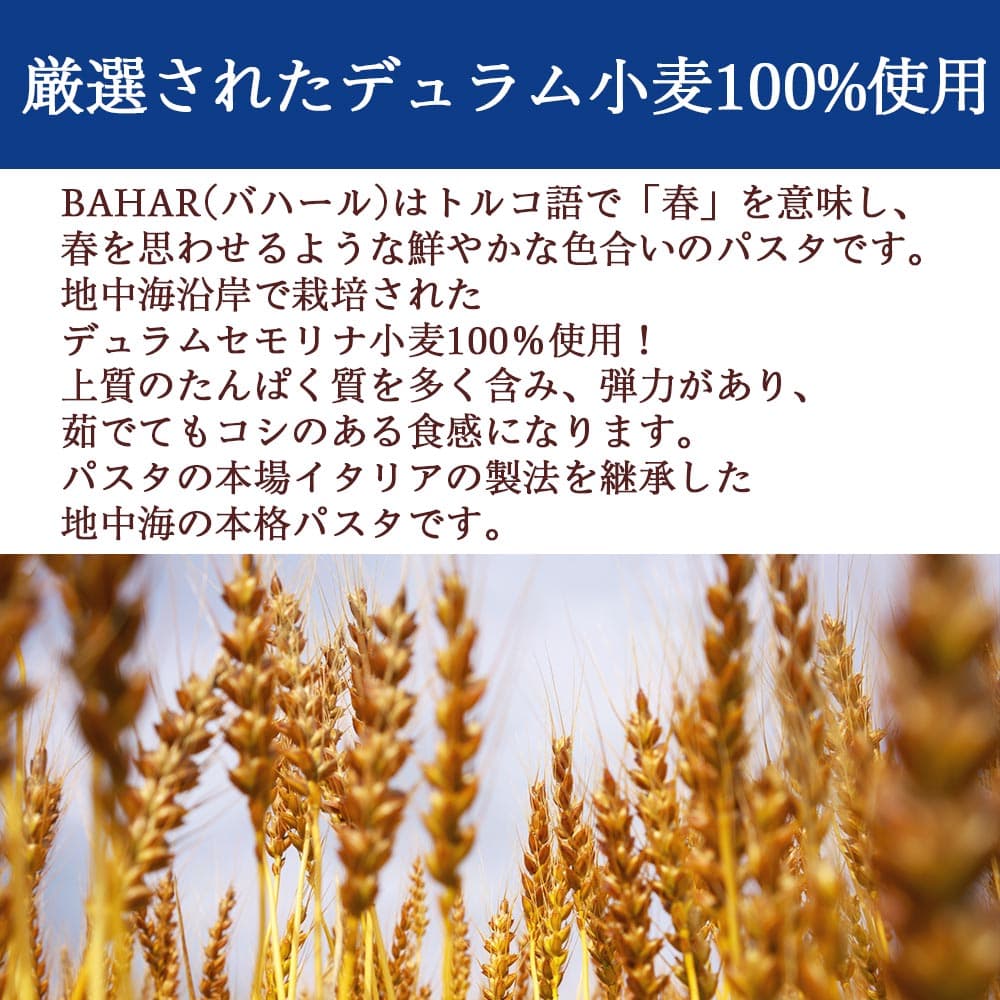 バハール パスタ スパゲッティ デュラム小麦100% 5kg 2袋