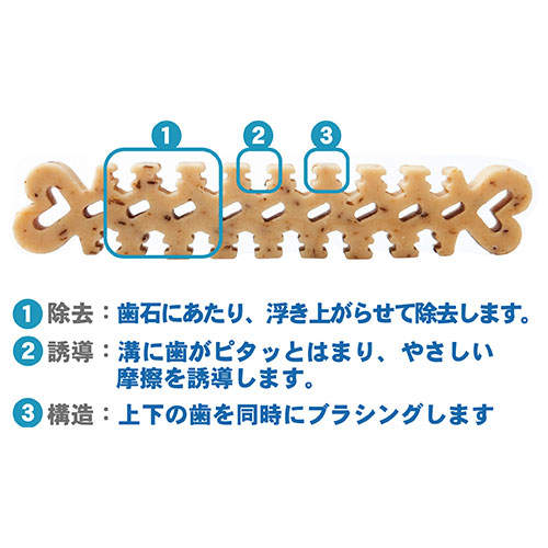 FORCANS フォーキャンス デンティ スリーフェアリー 65g SS 24個セット