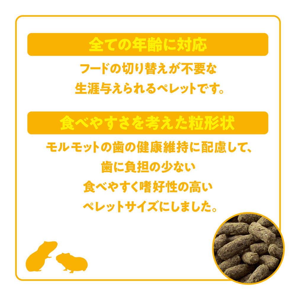 ジェックス モルモット プレミアムフード シンバイオティクスブレンド 1.3kg