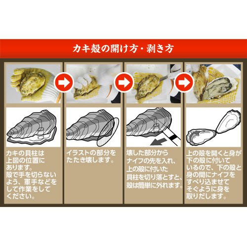 岡山　日生　殻付き　活若牡蠣 30～35個前後