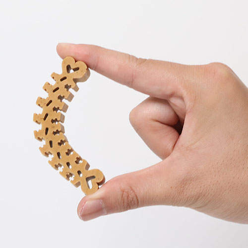 FORCANS フォーキャンス デンティ スリーフェアリー お徳用 150g S 6個セット