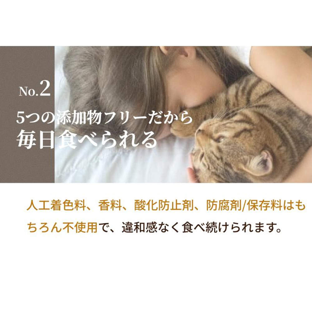 SILKFULL シルキャット 猫用プレミアムウェットフード チキン 35g