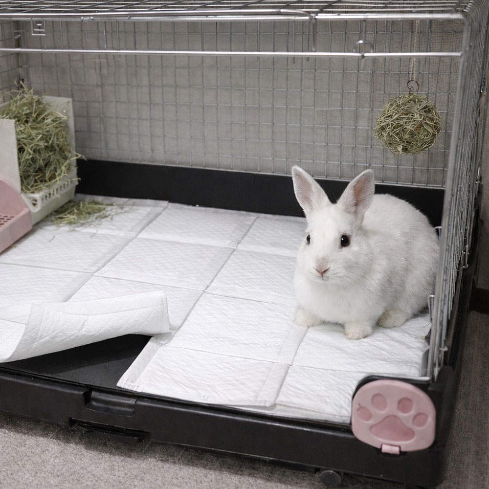 常陸化工 ファインドッグ ペットシーツレギュラー ハーフ 160枚入 4袋【他商品と同時購入不可】