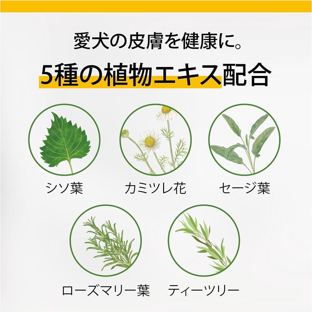 サラヤペッツ 犬用 低刺激シャンプー 短・中毛用 300ml