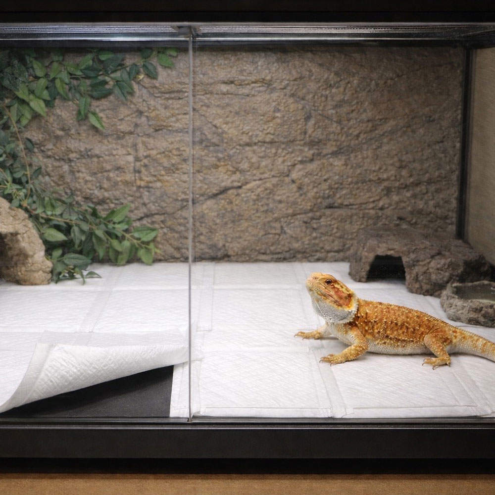 常陸化工 ファインドッグ ペットシーツレギュラー ハーフ 160枚入 8袋