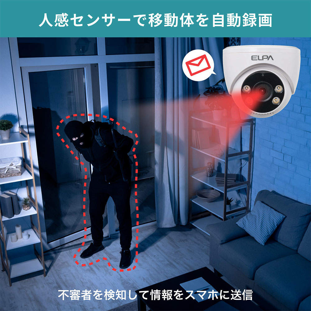 ELPA 防犯士が作ったスゴイ防犯カメラ 屋内用 ドーム形カメラ AC電源 TBC-DC300