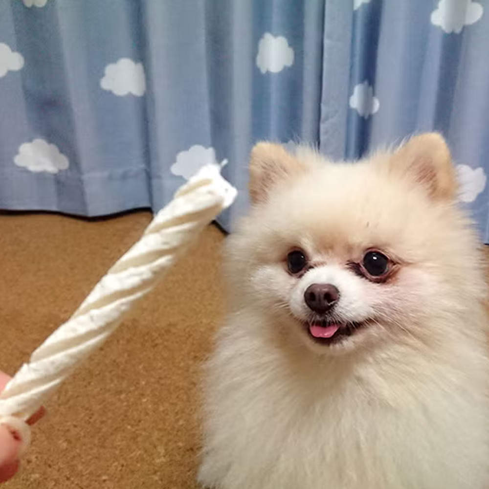 ペティオ プラクト 歯みがきデンタルガム 超小型犬~小型犬 低脂肪 やわらか 140g 10個