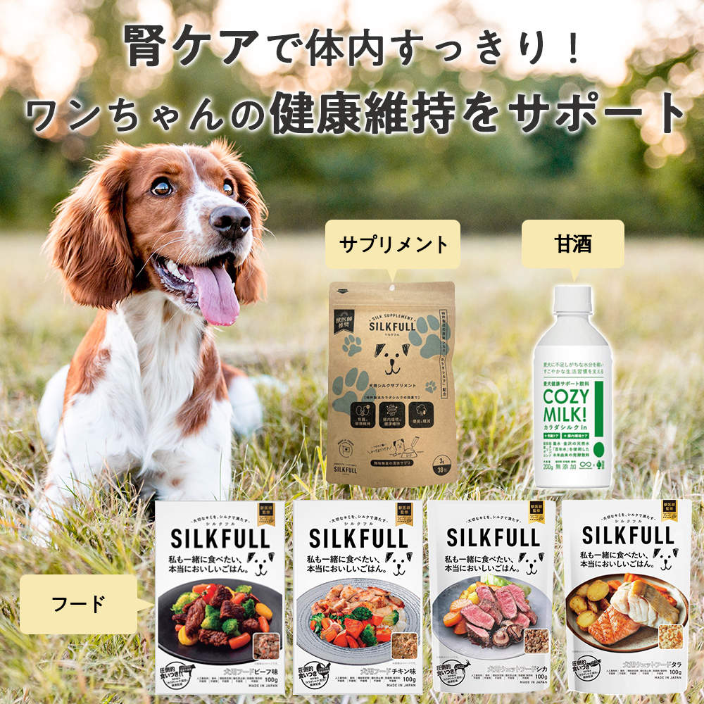 SILKFULL シルクフル 30包入