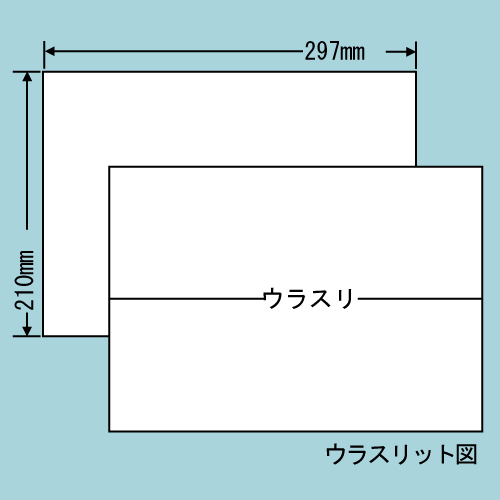 東洋印刷 ラベルシール nana カラーインクジェット用 A4 100シート×5 C1ZX:
