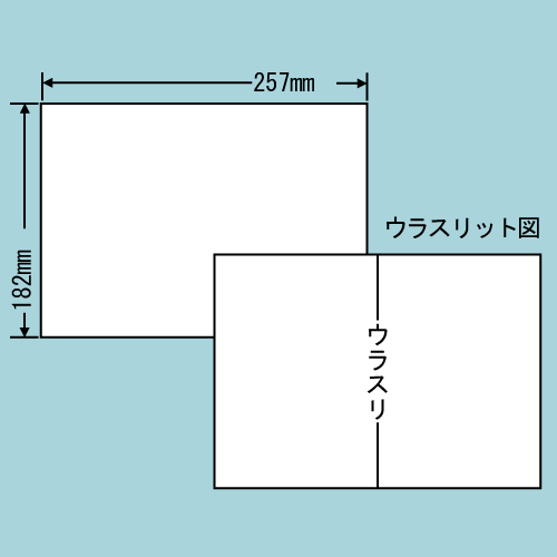 東洋印刷 ラベルシール nana 汎用タイプ B5 100シート×10 C1B5: