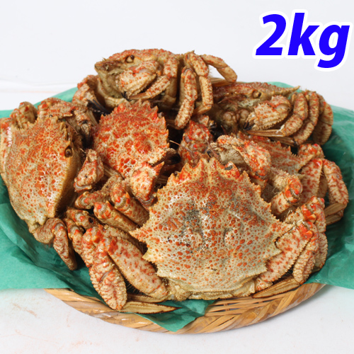 【今期販売終了】青森むつ湾 とげくり蟹 2kg(10杯前後):