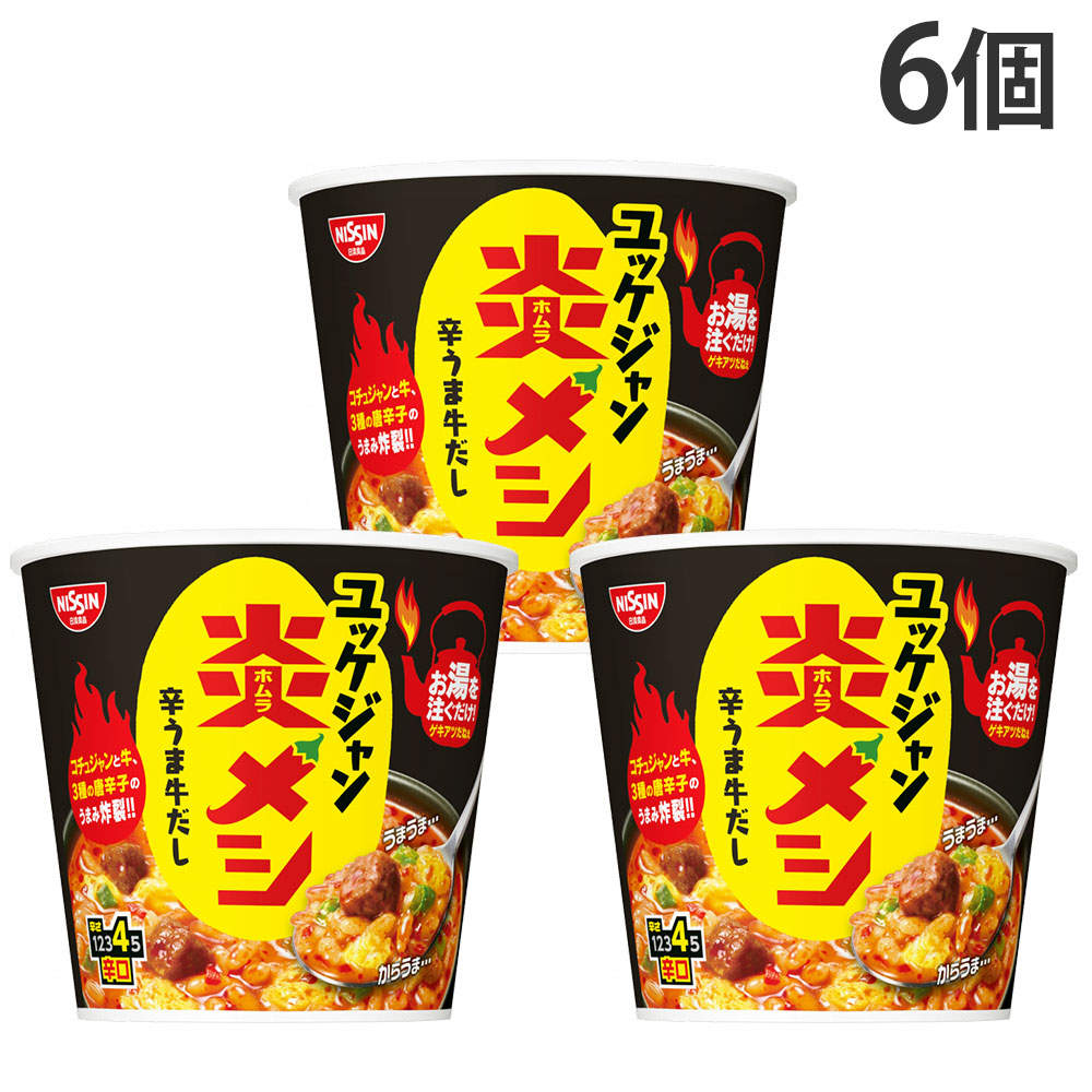 賞味期限:26.10.07 日清食品 炎メシ ユッケジャン 89g 6個