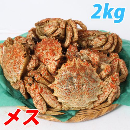 【今季販売終了】青森むつ湾 とげくり蟹【メス】 2kg（13～17杯）