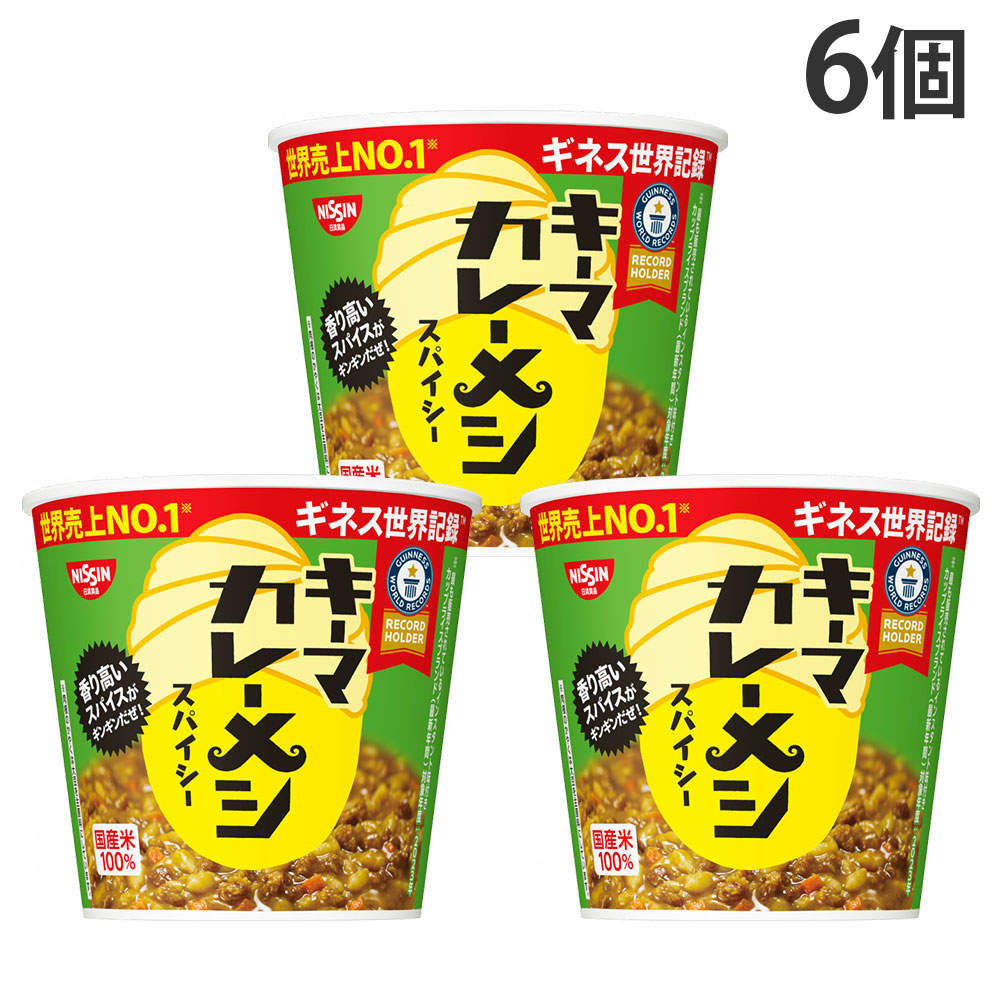 賞味期限:26.11.26 日清食品 日清キーマカレーメシ スパイシー 89g 6個
