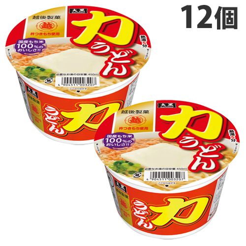 大黒食品 力うどん 100g×12個