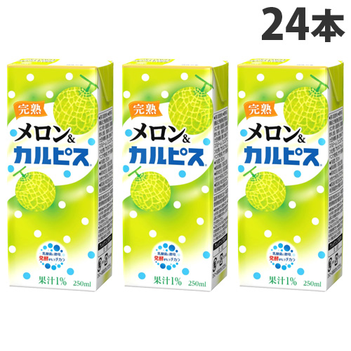 よろずやマルシェ本店 エルビー カルピス 完熟メロン カルピス 250ml 24本 水 コーヒー お茶 飲料 食品 日用品から百均まで個人向け通販