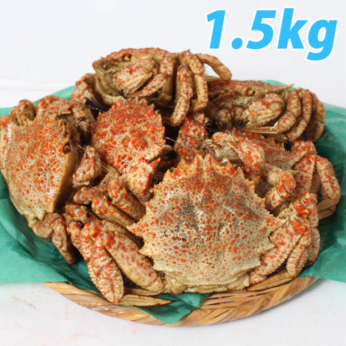 青森むつ湾 とげくり蟹 1.5kg（7杯前後）