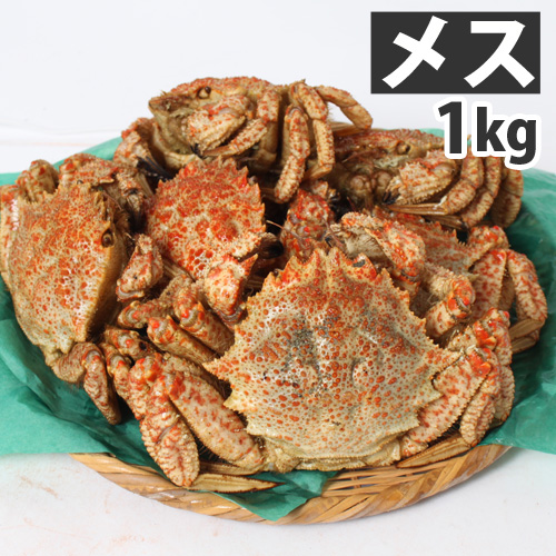 【今季販売終了】青森むつ湾 とげくり蟹【メス】 1kg(6～8杯)【代引不可】