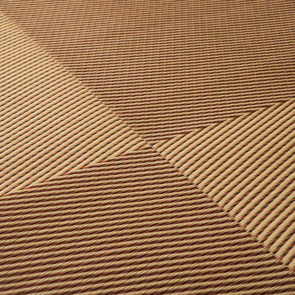 イケヒコ ポリプロピレンラグ ラフテル 江戸間6畳 (261×352cm) ブラウン RFTL261352