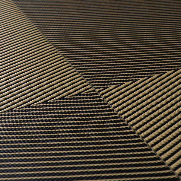 イケヒコ ポリプロピレンラグ ラフテル 江戸間6畳 (261×352cm) ブラック RFTL261352