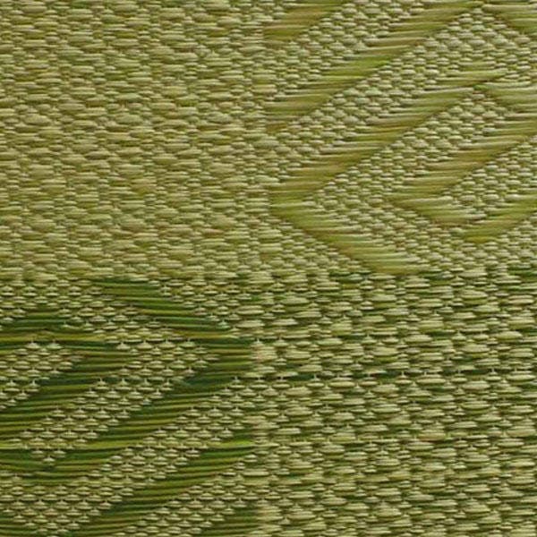 【ポイント10倍】イケヒコ 五風 い草座布団 55×55cm 2枚組 グリーン