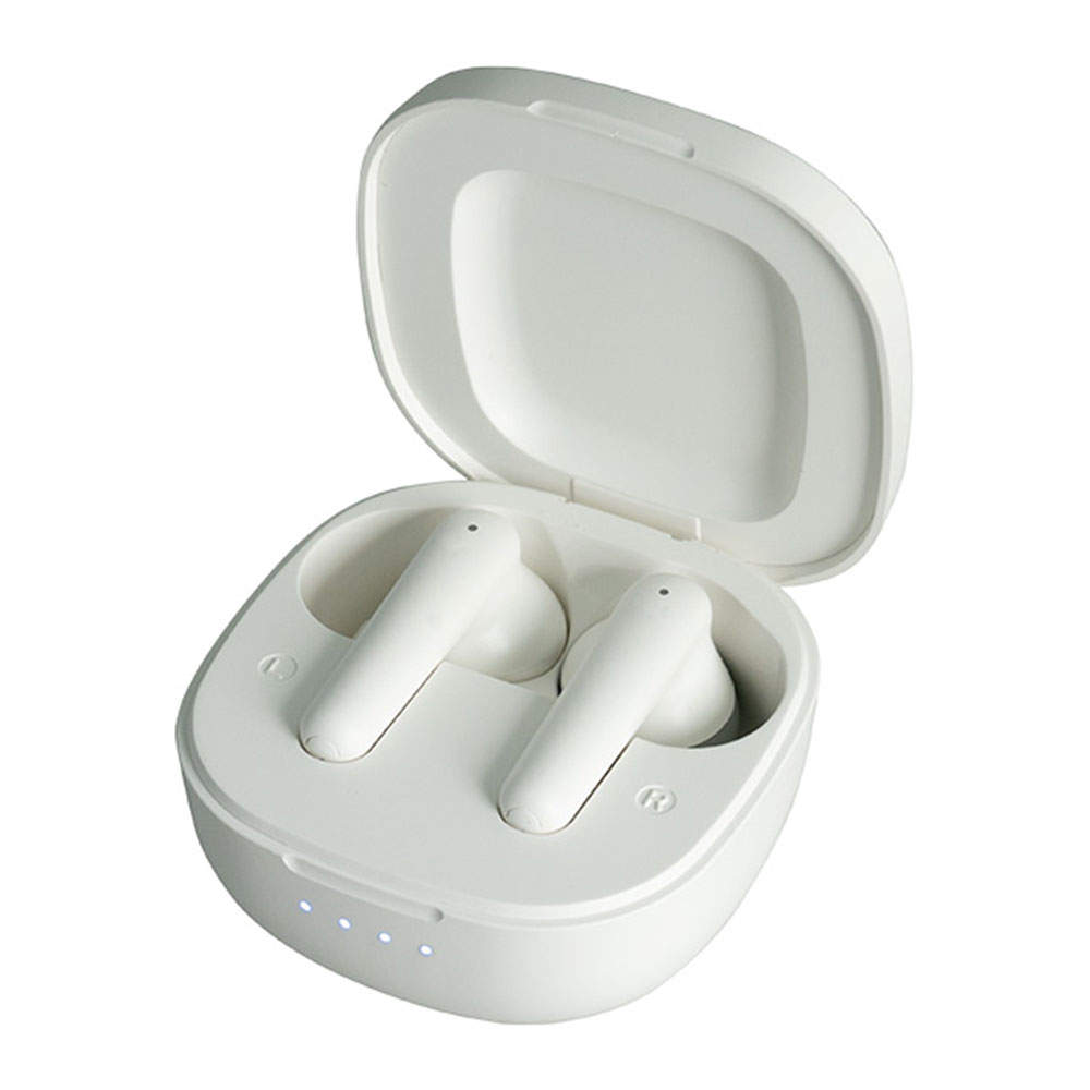 ELPA 集音器 イヤリスチャージ イヤホン型 両耳用 密閉型 AS-E002