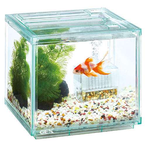 ジェックス 金魚元気 ぶくぶくクリア 200CUBE