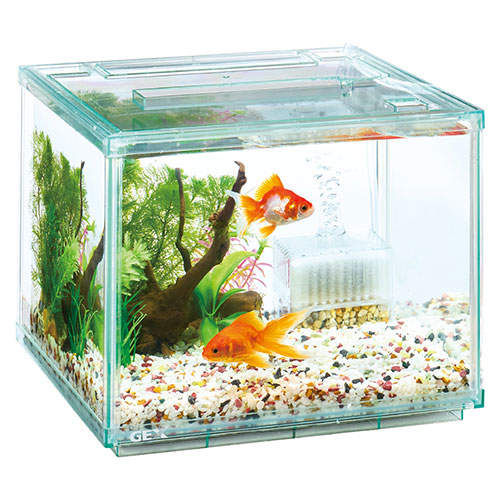ジェックス 金魚元気 ぶくぶくクリア 250CUBE