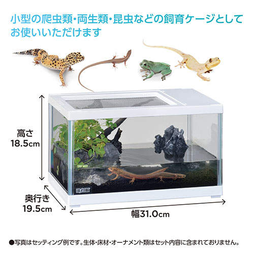 ジェックス レプテリア ツインビュー 300 ホワイト