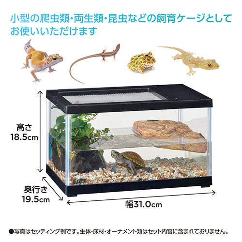ジェックス レプテリア ツインビュー 300 ブラック