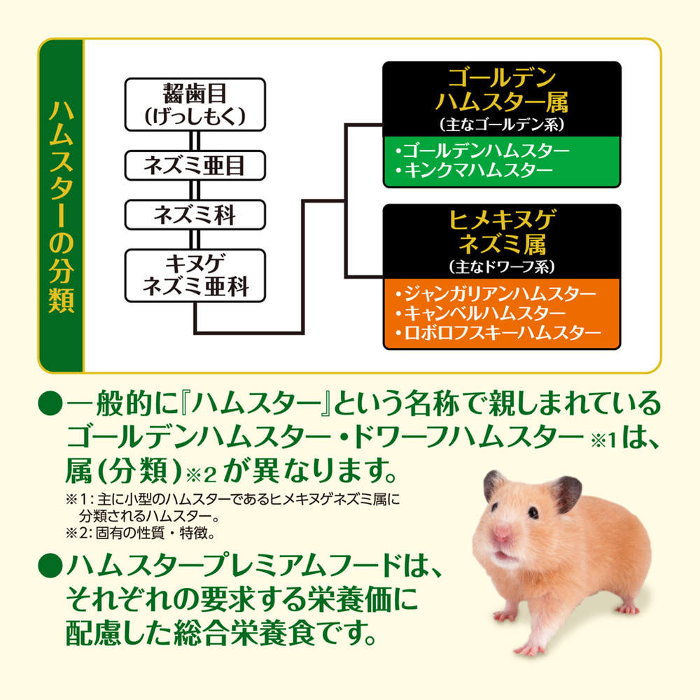 ジェックス ハムスター プレミアムフード ゴールデン専用 900g