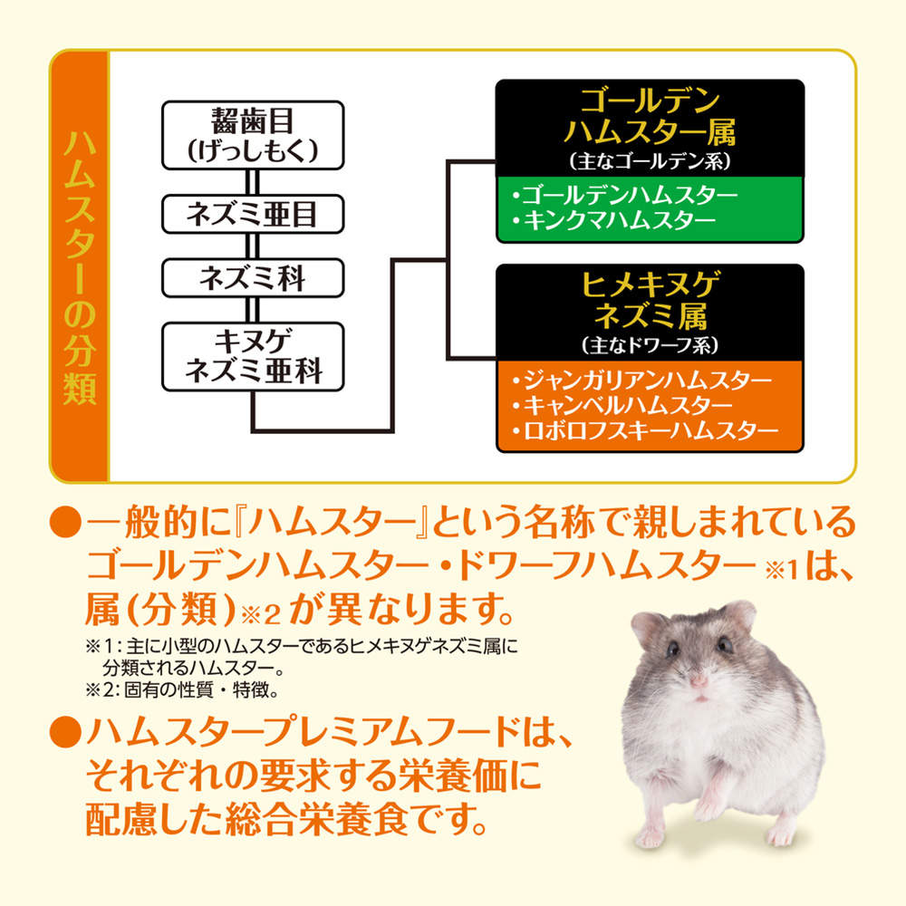 ジェックス ハムスター プレミアムフード ドワーフ専用 900g