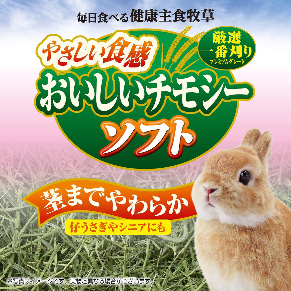ジェックス おいしいチモシー ソフト 1kg