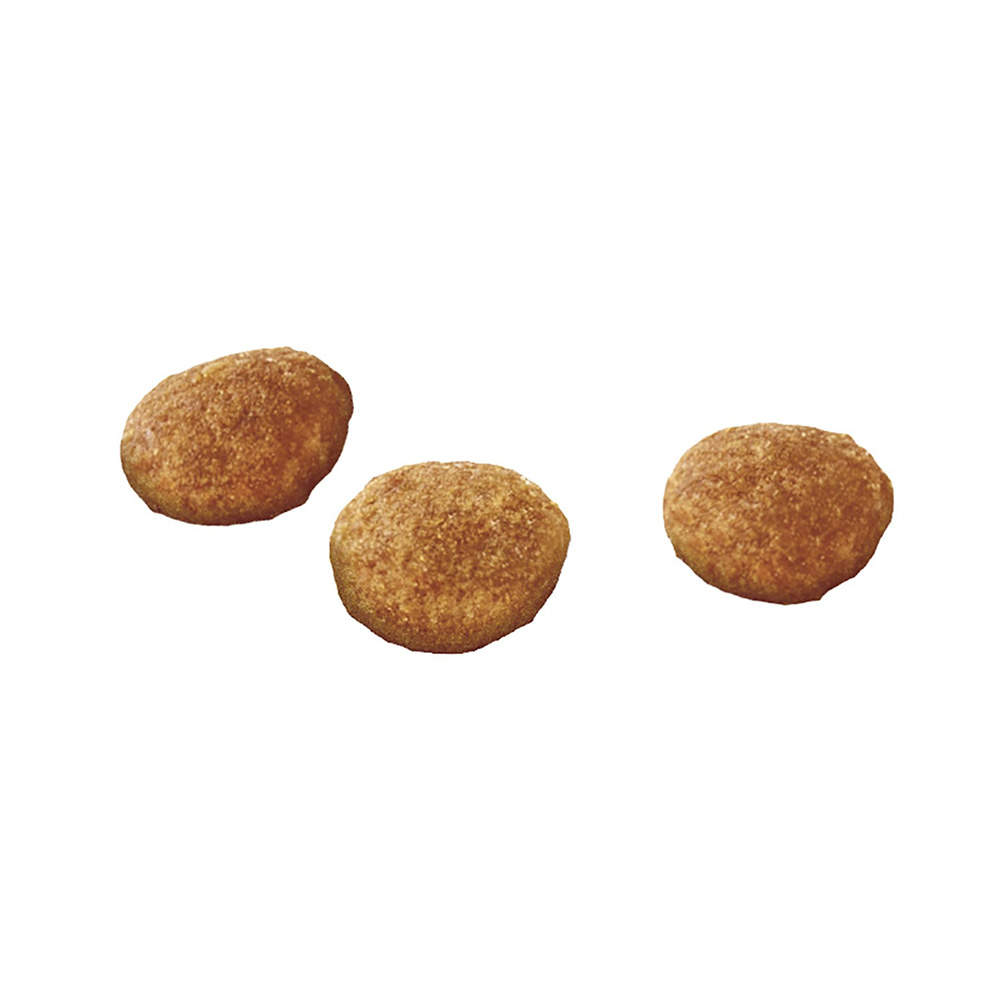 【ポイント10倍】いなば CIAO 乳酸菌クランキー BOX 腎臓の健康維持 チキンバラエティ 17g 10袋入