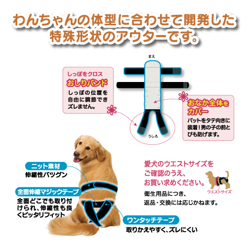 第一衛材 P.one マナーホルダー介護用 のび～るテ―プ付き 3L 1枚 PMH-732