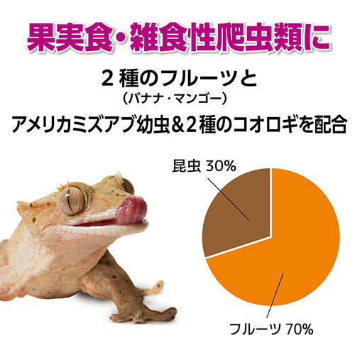 ジェックス RepDeli フルーツ＆バグペースト プロテインプラス 2.5g×10本入