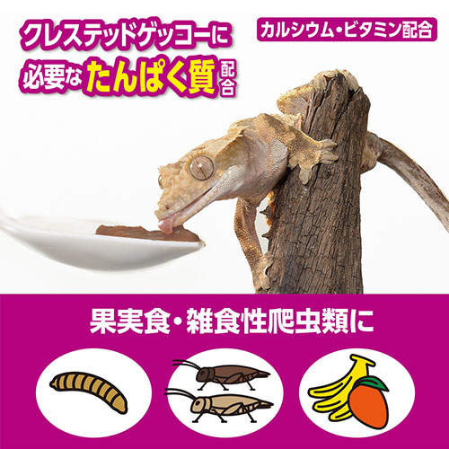 ジェックス RepDeli フルーツ＆バグペースト プロテインプラス 10本入×5個