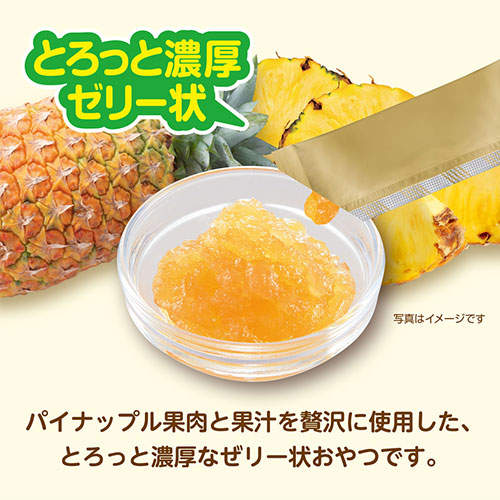 ジェックス すりおろし とこなつパイン 6個入×10袋