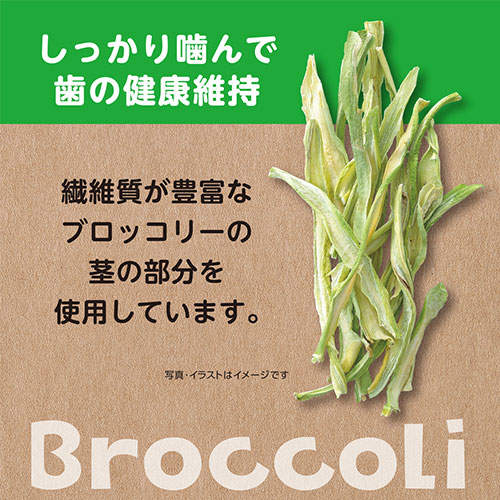 ジェックス ヘルシーレシピ ブロッコリーぽりぽり 15g