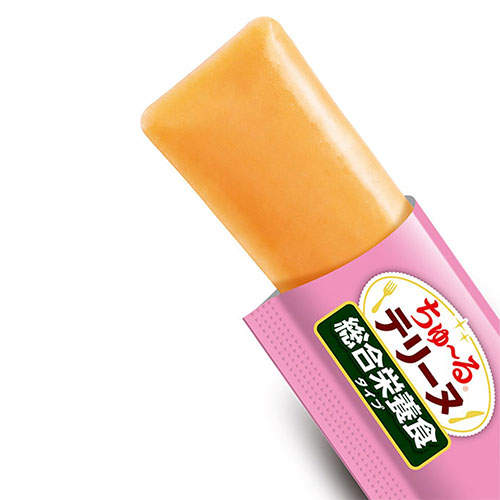 『ポイント15倍』いなば ちゅ～る テリーヌ 総合栄養食 ビーフ 4本入 48個 DS-487