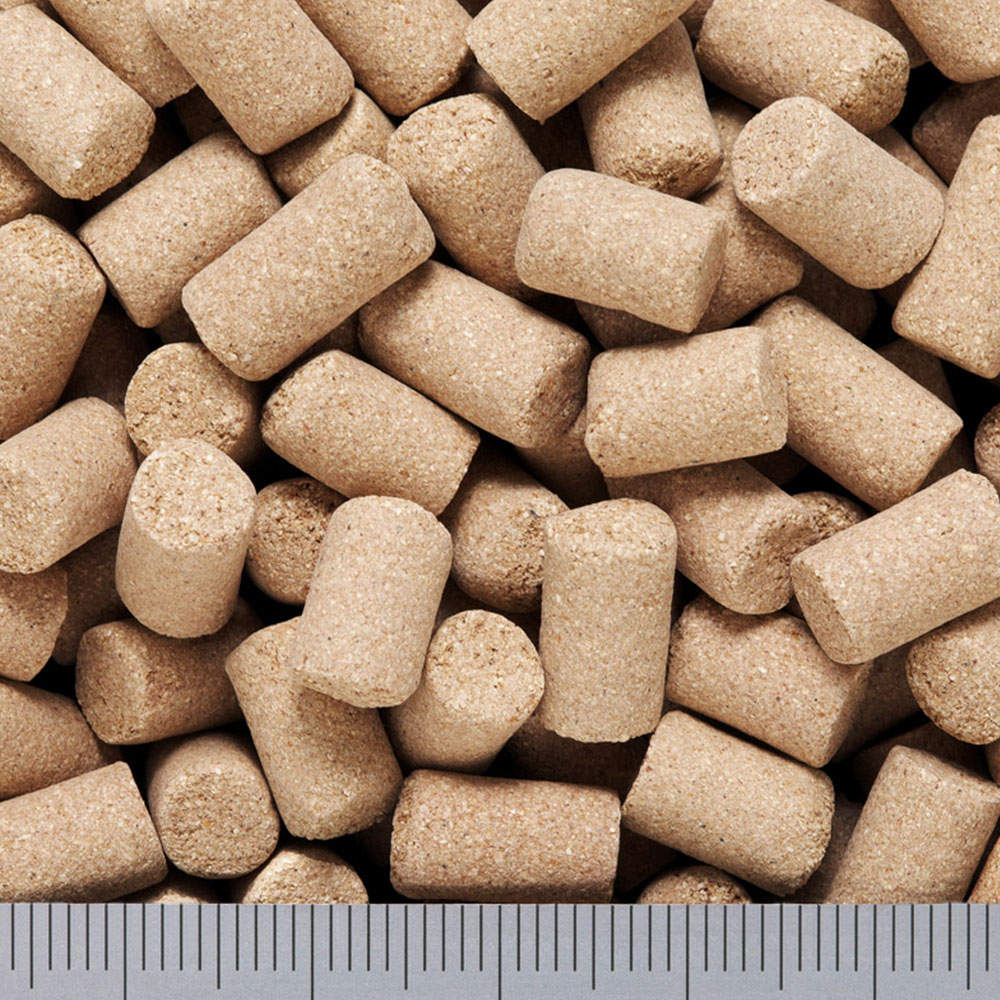 キョーリン ひかり ルスタクス 5g 5個