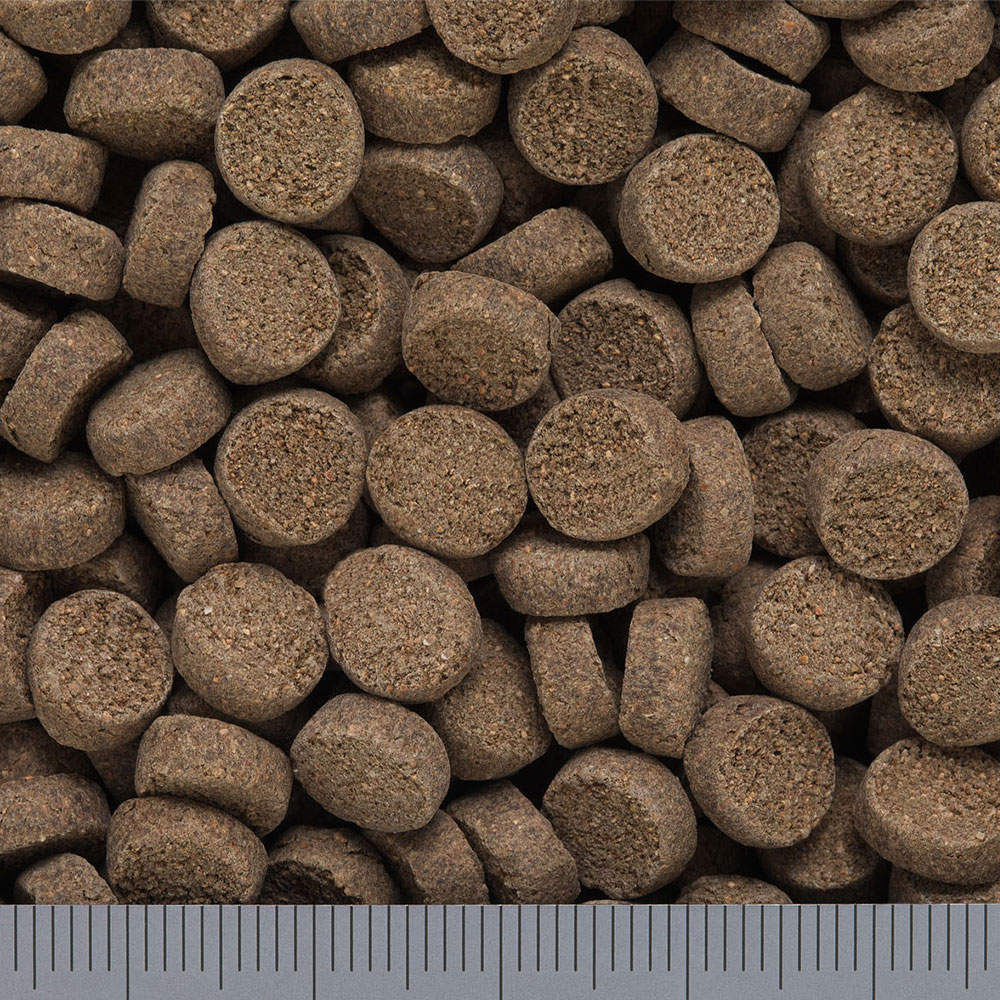 キョーリン ひかり クレストフリーク シャビオ 30g 3個