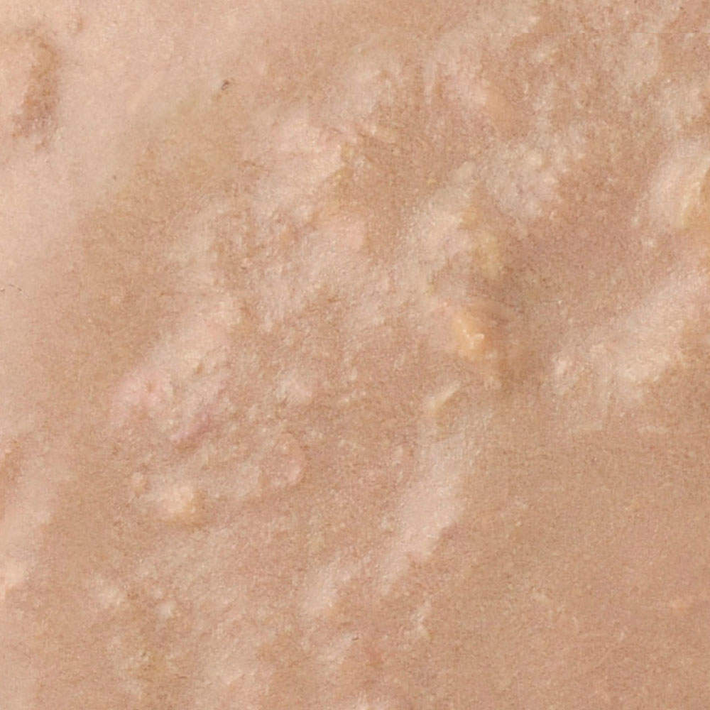 デビフ レンチン温めてほかほかごはん ささみ＆レバー 50g 48個