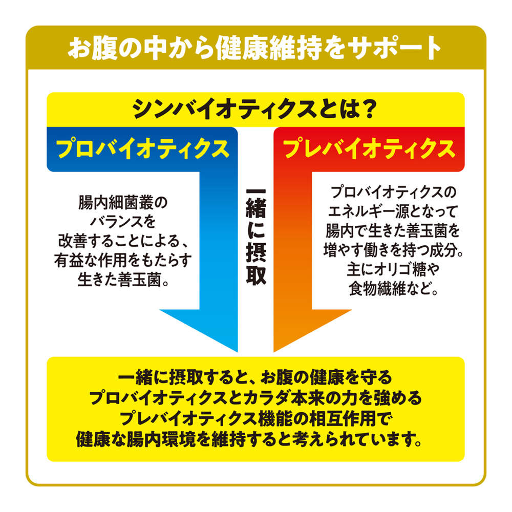 ジェックス デグー プレミアムフード シンバイオティクスブレンド 1.1kg 2個